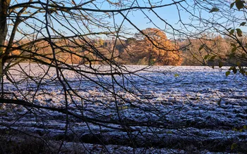Frozen fields.jpg